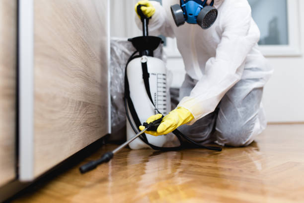 Best Pest Control Near Me  in La Paloma, TX