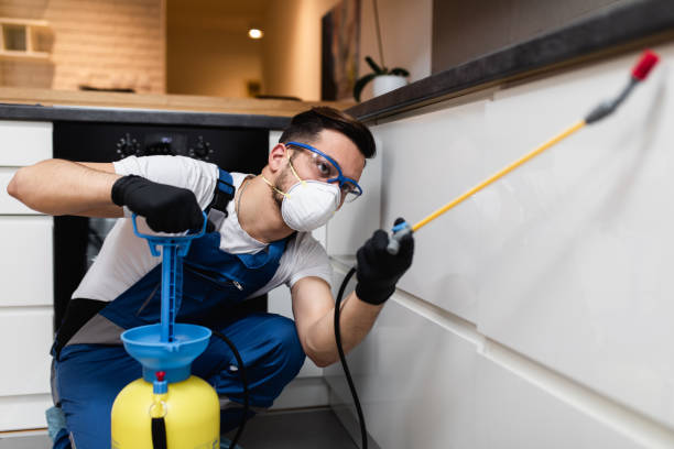 Best Termite Control Services  in La Paloma, TX