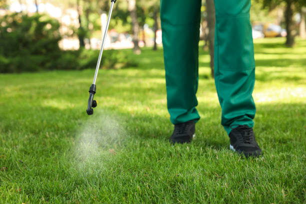 Best Bed Bug Extermination  in La Paloma, TX