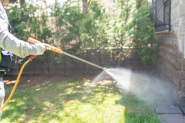 Best Rat Extermination Near Me  in La Paloma, TX