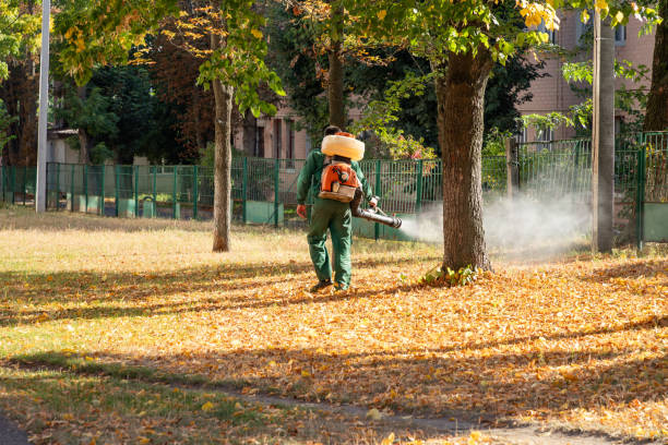 Best Best Pest Control Companies  in La Paloma, TX
