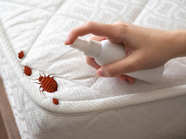 Best Residential Pest Control  in La Paloma, TX